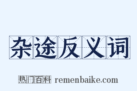 杂途反义词是什么意思的图片